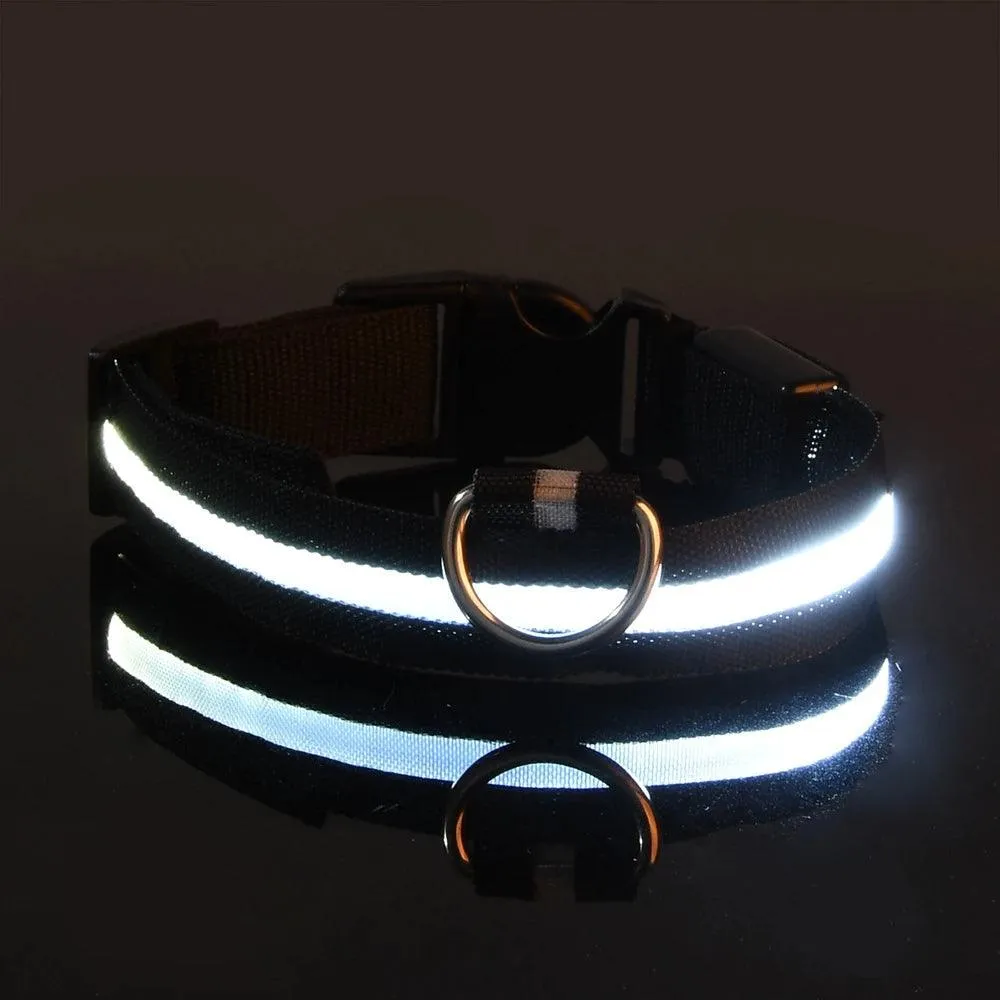 Nylon LED Dog Collar