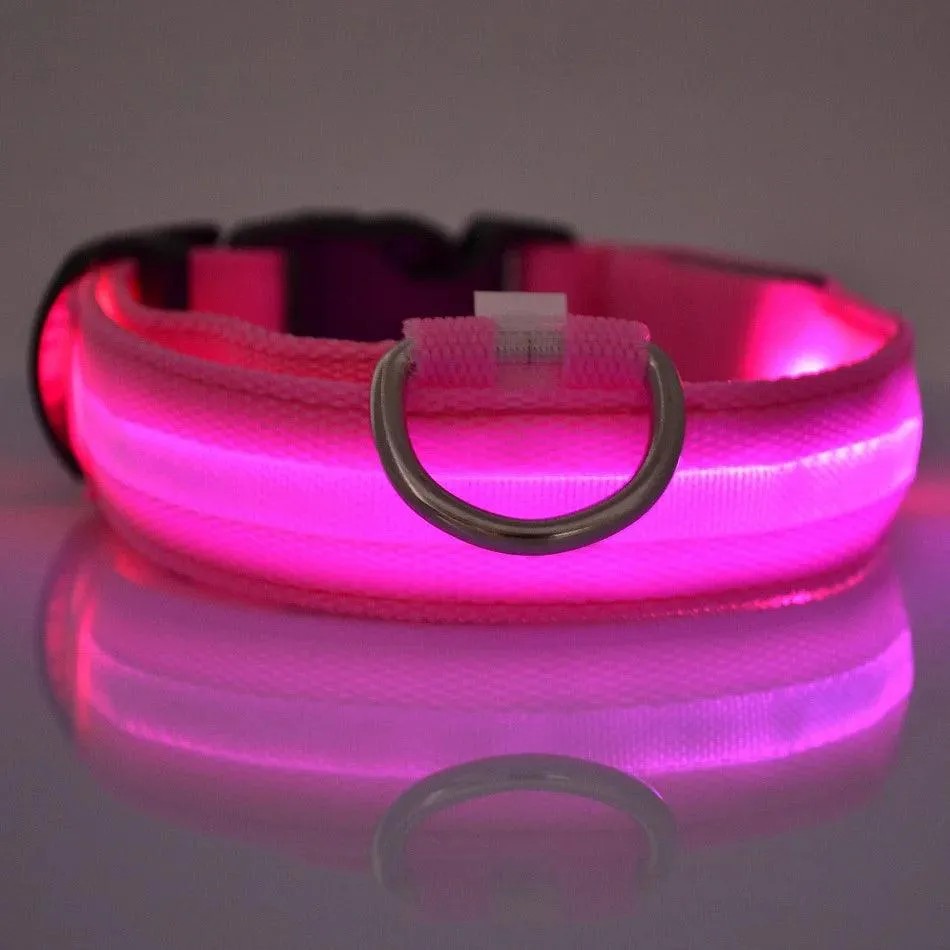 Nylon LED Dog Collar