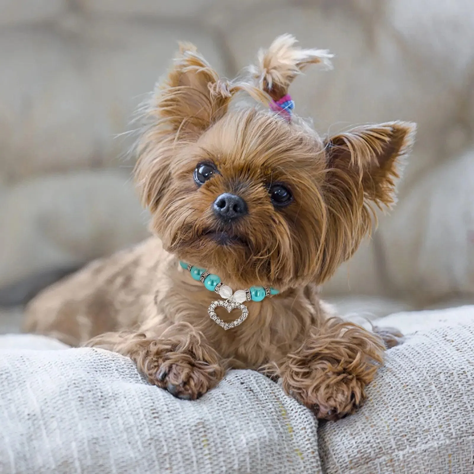 Pearls and Diamonds Pet Collar