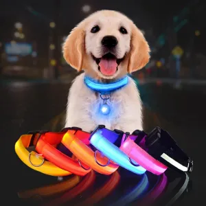 Pet Dog LED Glowing Luminous Night Safety Collar