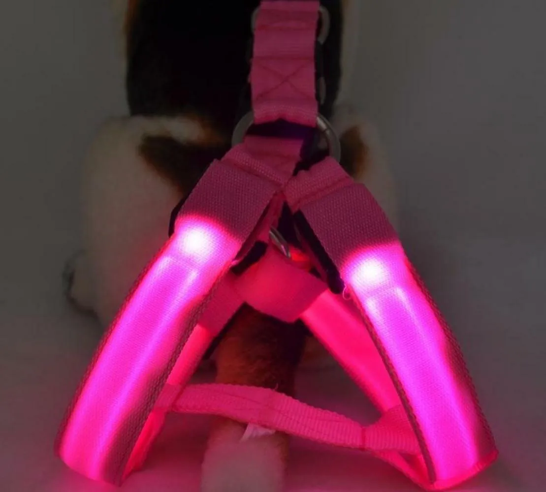 PETLAVISH™ Small Dog LED Glow USB Dog Harness: Adjustable, Safe Control Vest S-XL