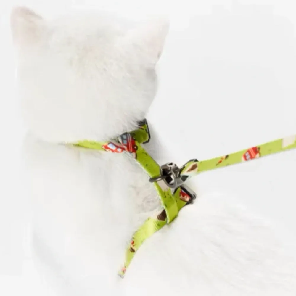 Pidan Harness & Leash Set For Cats (Red Cabby)