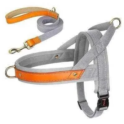 Posh Padded Dog Collar Set