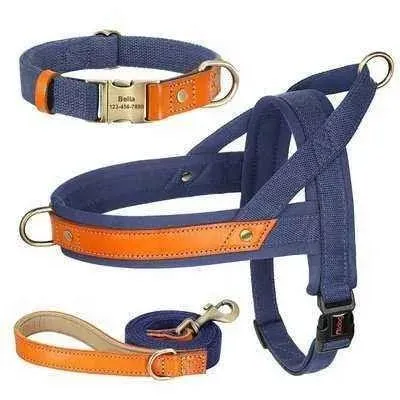 Posh Padded Dog Collar Set