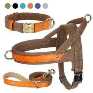 Posh Padded Dog Collar Set