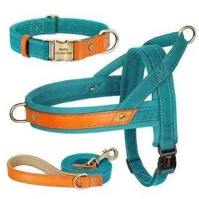 Posh Padded Dog Collar Set