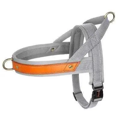 Posh Padded Dog Collar Set