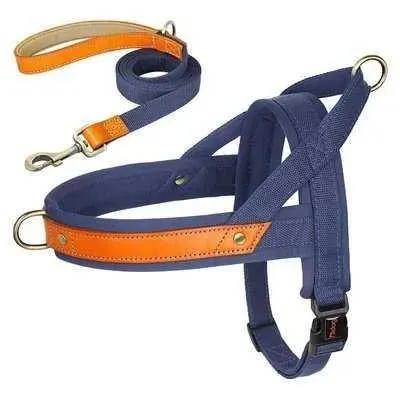 Posh Padded Dog Collar Set