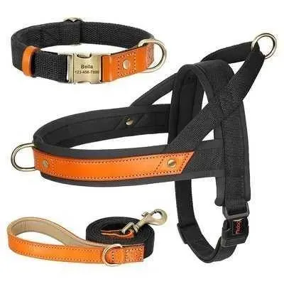 Posh Padded Dog Collar Set