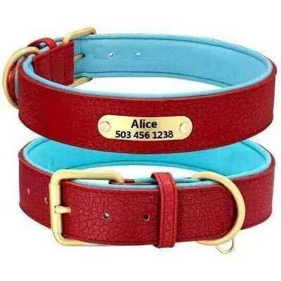 Royal Paws Personalised Leather Dog Collar