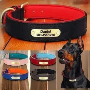 Royal Paws Personalised Leather Dog Collar