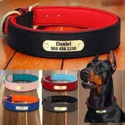 Royal Paws Personalised Leather Dog Collar