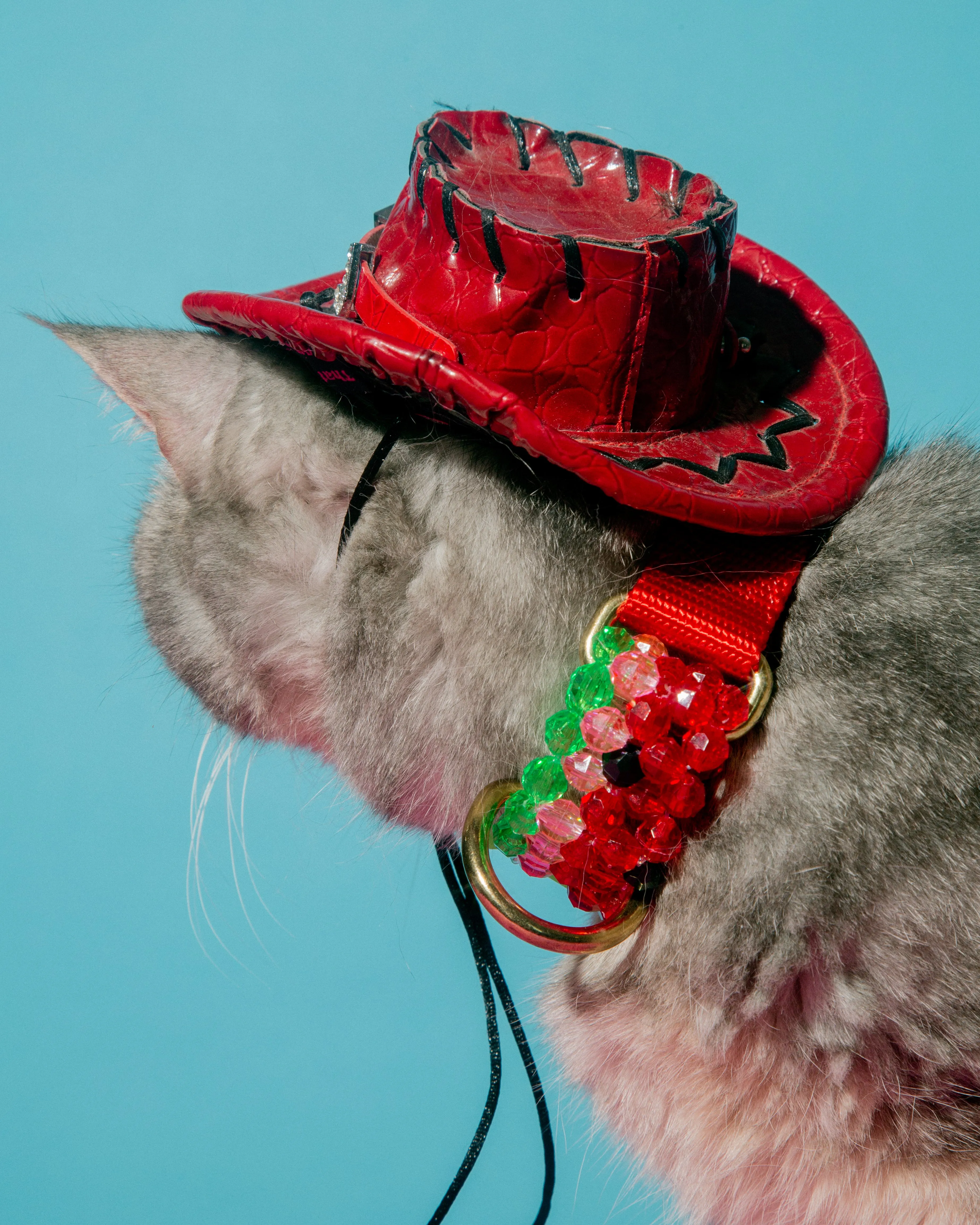 Watermelon Dog Collar and Leash