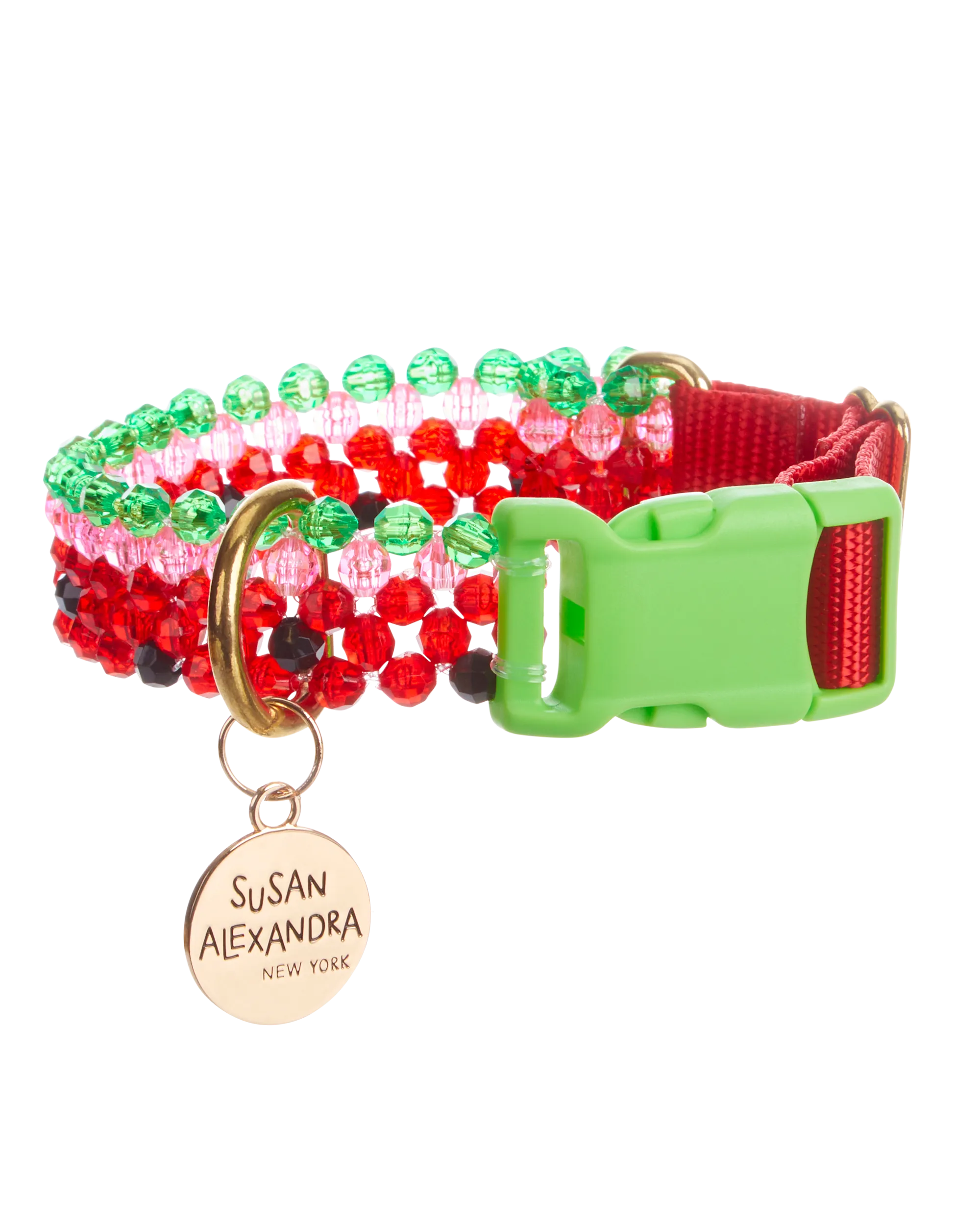 Watermelon Dog Collar and Leash