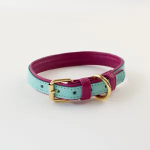 Willow Walks leather collar in two tone aqua and fuchsia