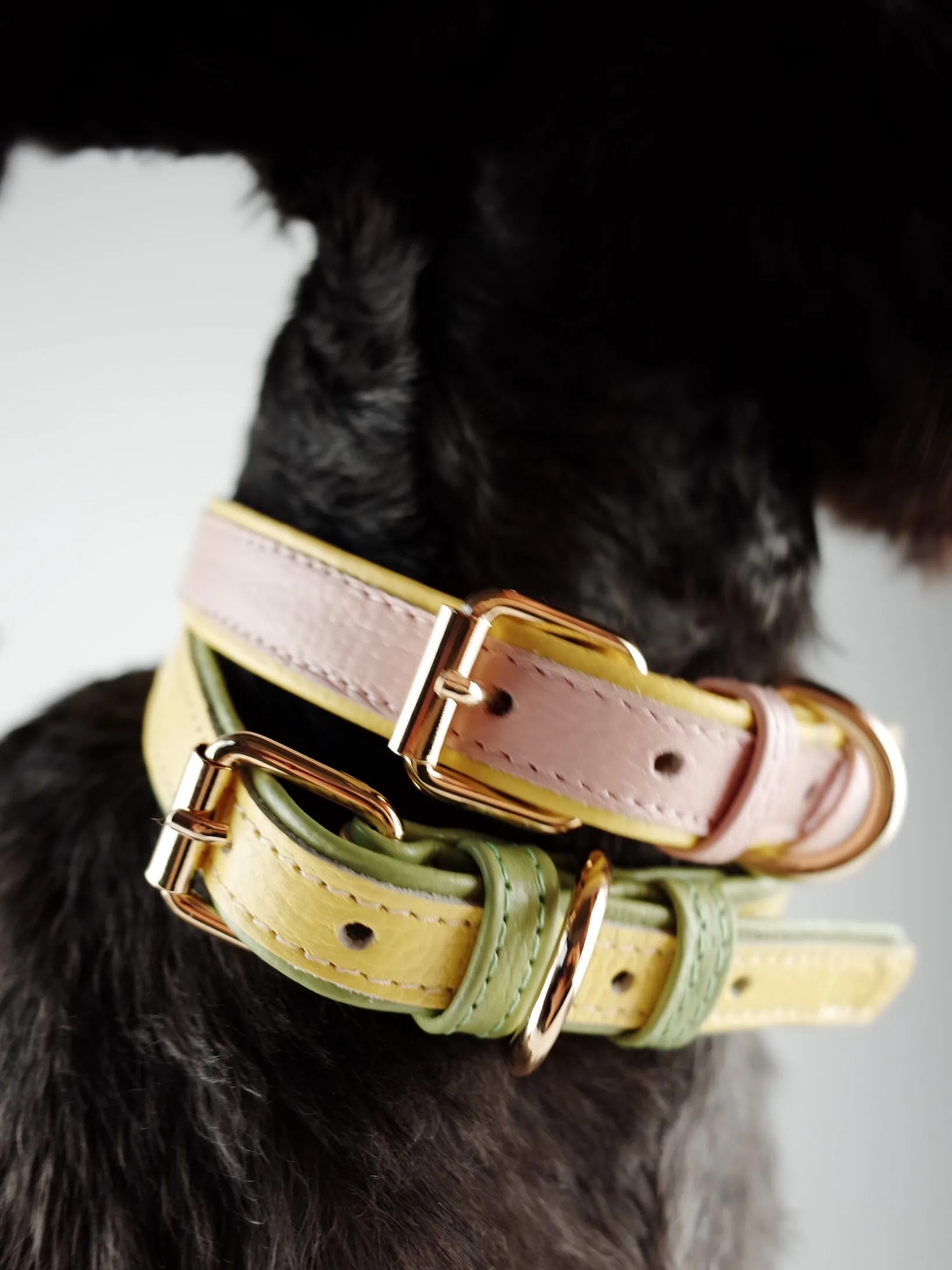 Willow Walks leather collar in two tone pink and yellow