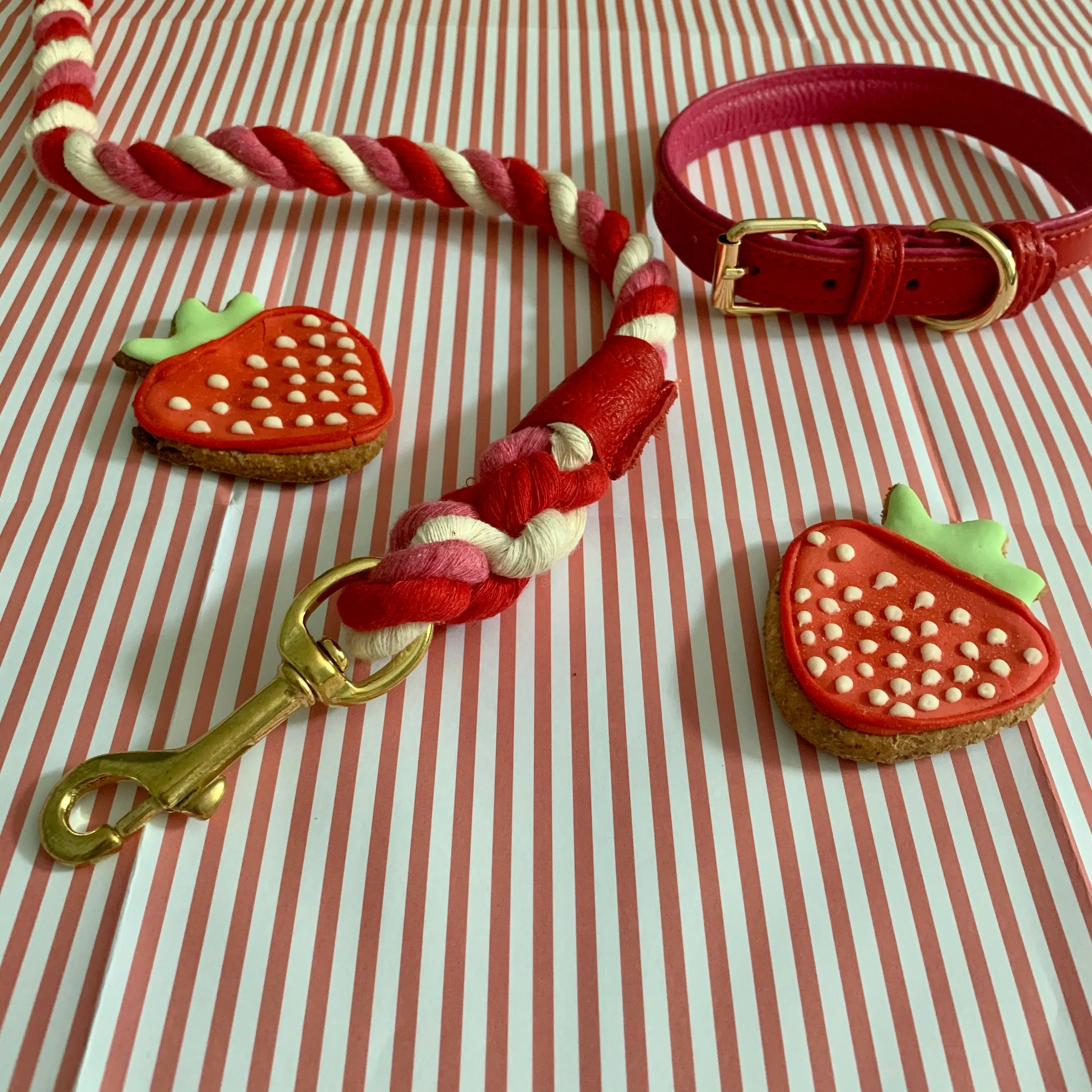 Willow Walks leather collar in two tone red and fuchsia