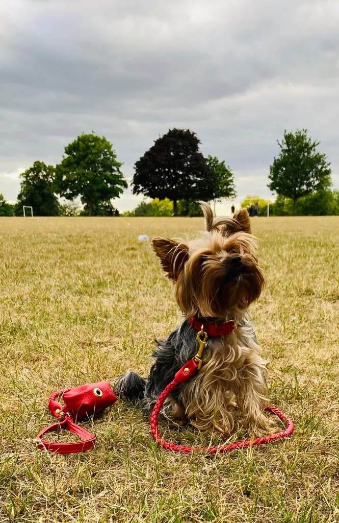 Willow Walks leather collar in two tone red and fuchsia