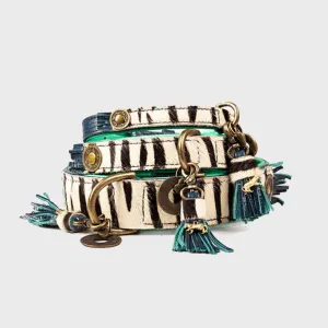 Zara Dog Collar Zebra - Dog with a Mission